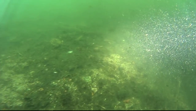 Облако мути перед фонарем без арма 1