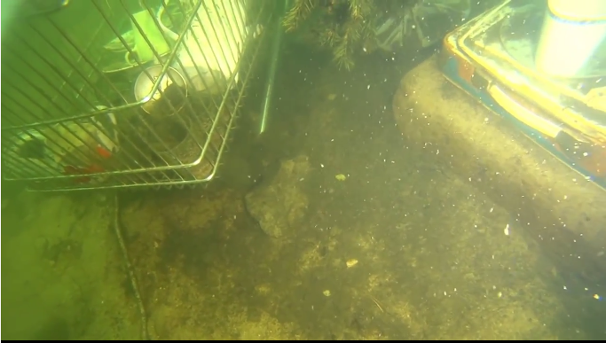 Облако мути перед фонарем без арма 3