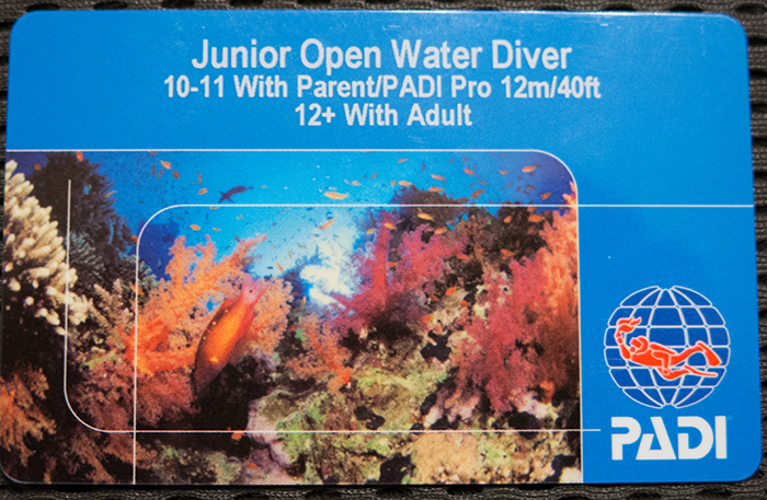 Сертификат JrOWD