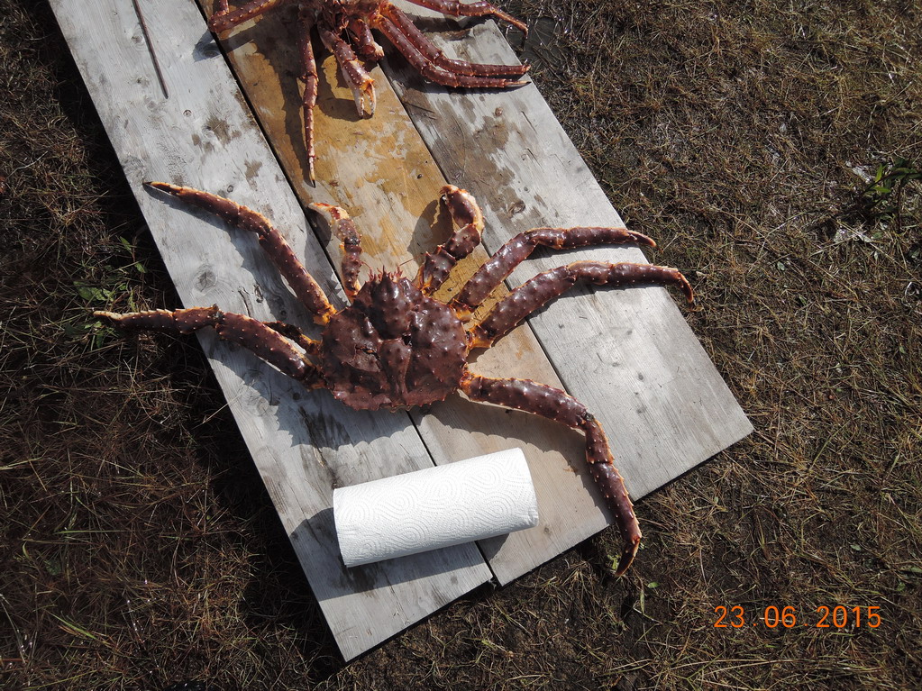 Бугоунес. Бугоунес.