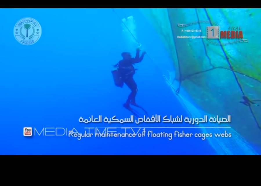 Рыбоводная ферма на Красном море Рыбоводная ферма на Красном море