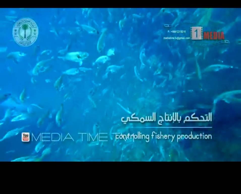 Рыбоводная ферма на Красном море Рыбоводная ферма на Красном море