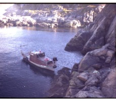 баренцуха баренцуха