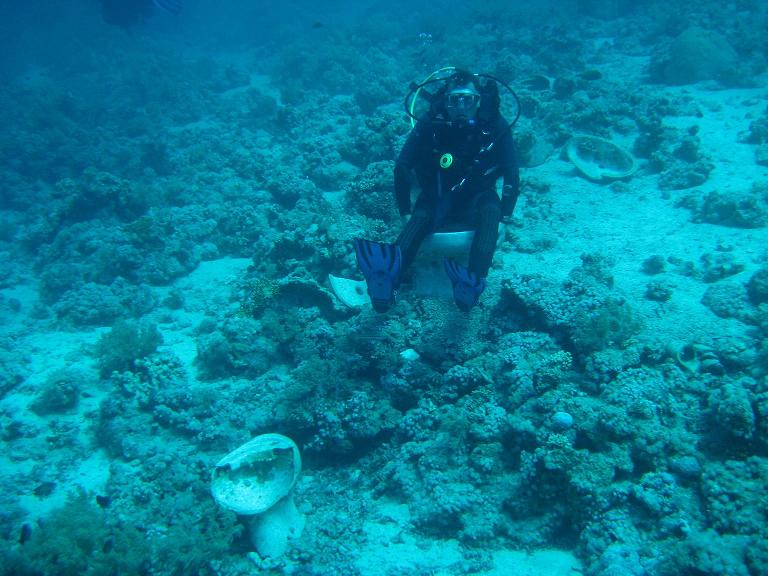 Посидел, подумал...