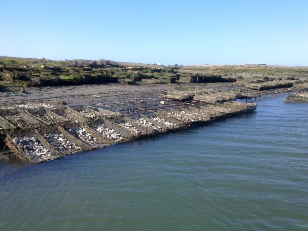 Марокко Марокко