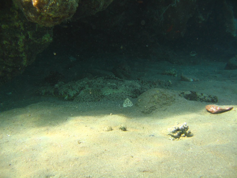 Бухта Наама-Бэй Бухта Наама-Бэй