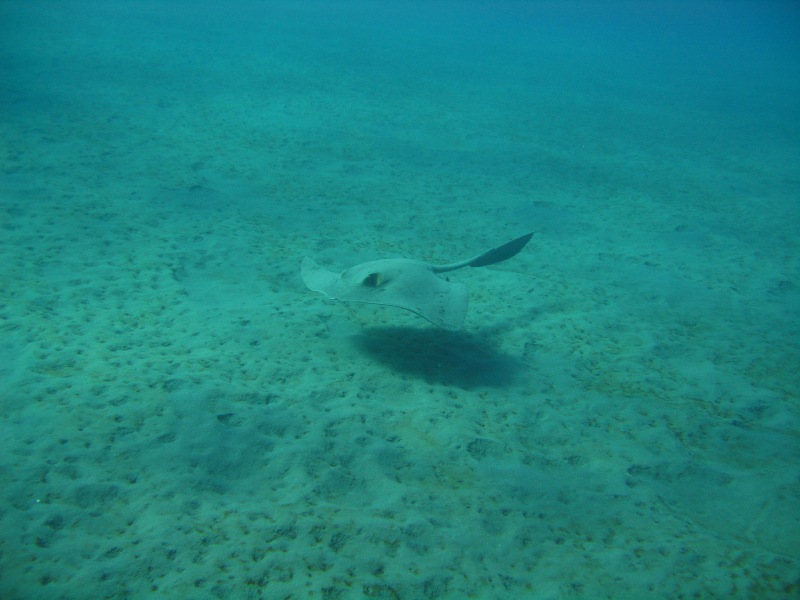 Бухта Наама-Бэй Бухта Наама-Бэй