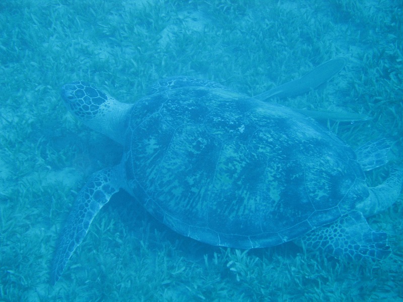 Бухта Наама-Бэй Бухта Наама-Бэй