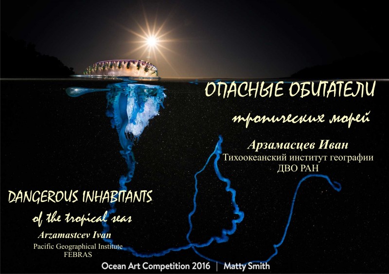 ОПАСНЫЕ ОБИТАТЕЛИ ТРОПИЧЕСКИХ МОРЕЙ ОПАСНЫЕ ОБИТАТЕЛИ ТРОПИЧЕСКИХ МОРЕЙ