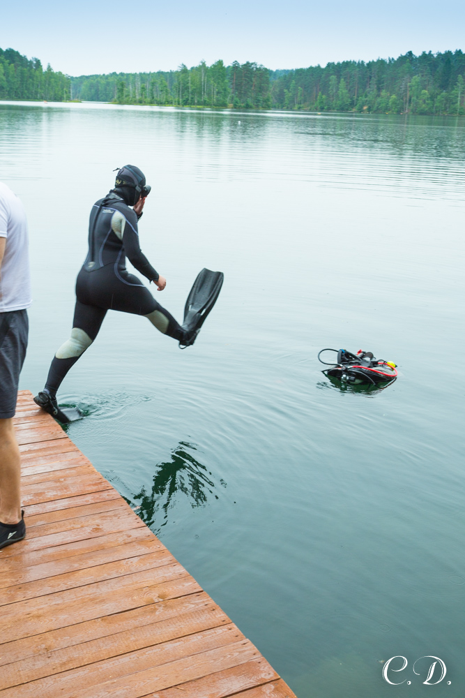 аврора аврора