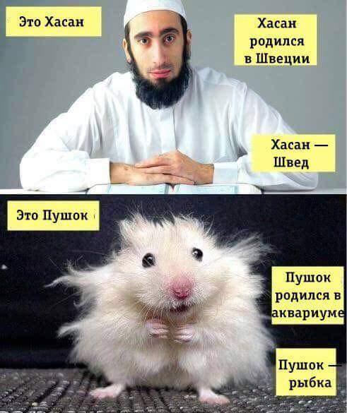 Особенности либерального мировоззрения Особенности либерального мировоззрения