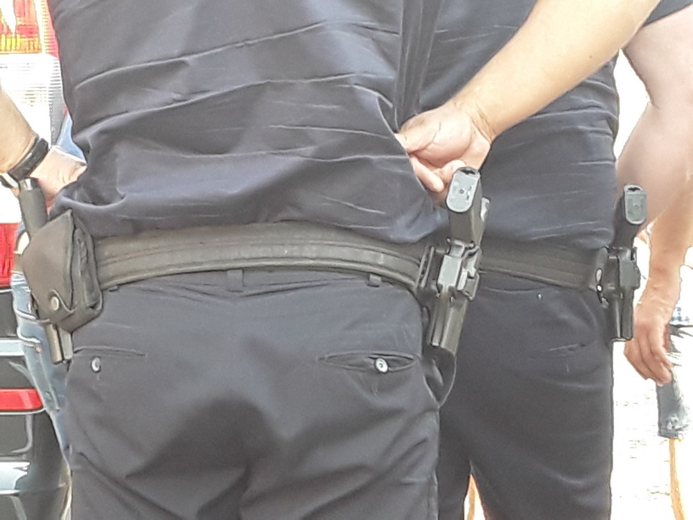 Полиция Грузии Полиция Грузии