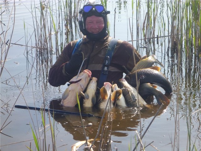 Березовский Сергей Викторович Березовский Сергей Викторович