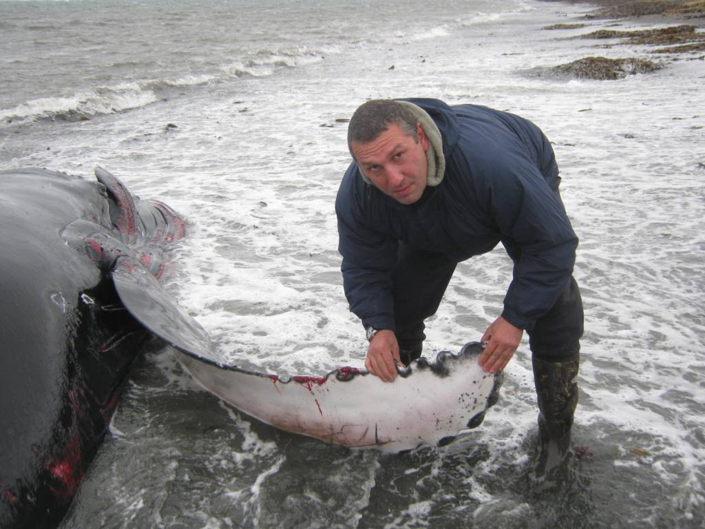 Александр Соломатин 5 Александр Соломатин 5