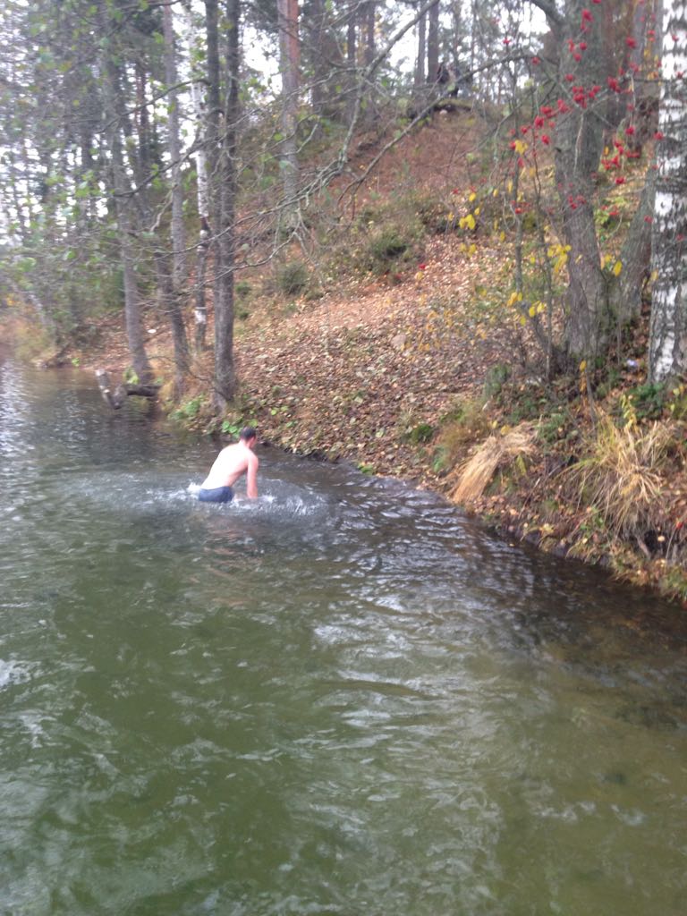 подвохи подвохи