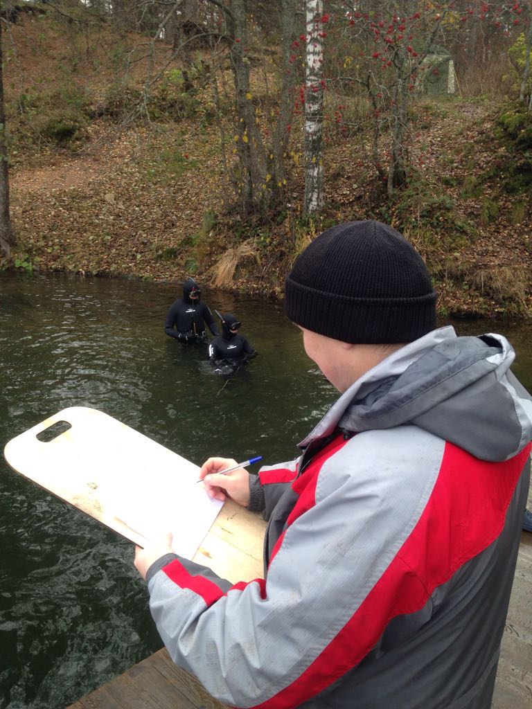 подвохи подвохи