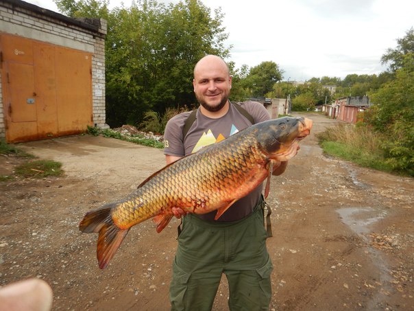 Дмитрий Кононов 1