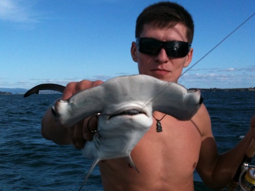 Игорь Петренко 2 Игорь Петренко 2