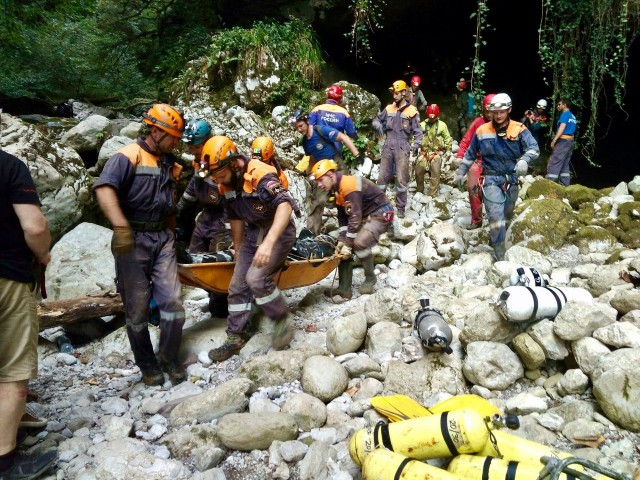 Подземная Хоста Подземная Хоста