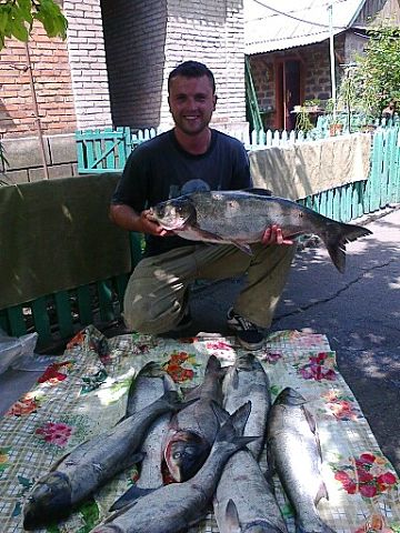 Алексей Голотяк 2 Алексей Голотяк 2