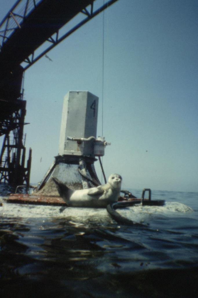 Каспийское море