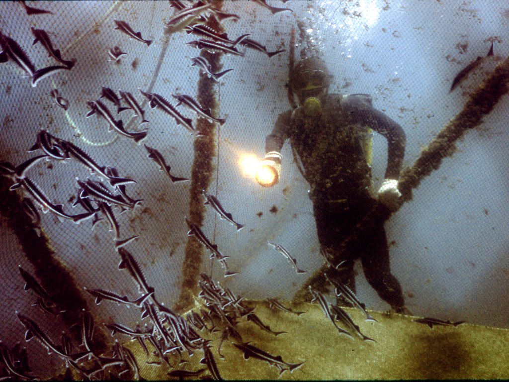 Каспийское море Каспийское море