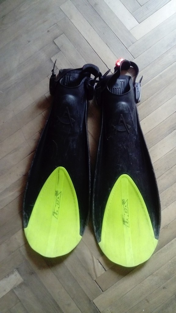 Ласты  TECHNISUB IDEA 3  размер Giant