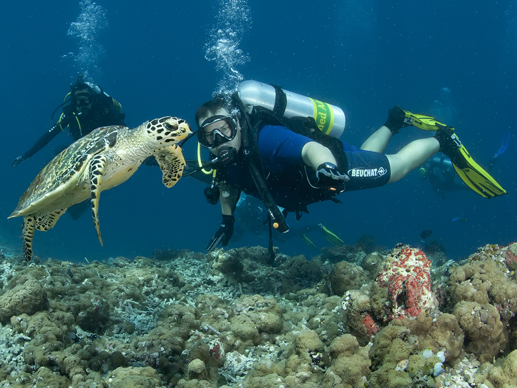 Судан2 Судан2