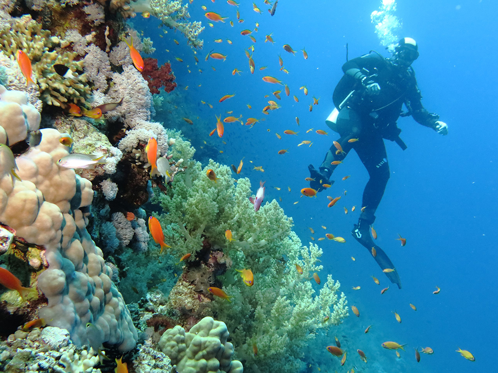 Судан4 Судан4