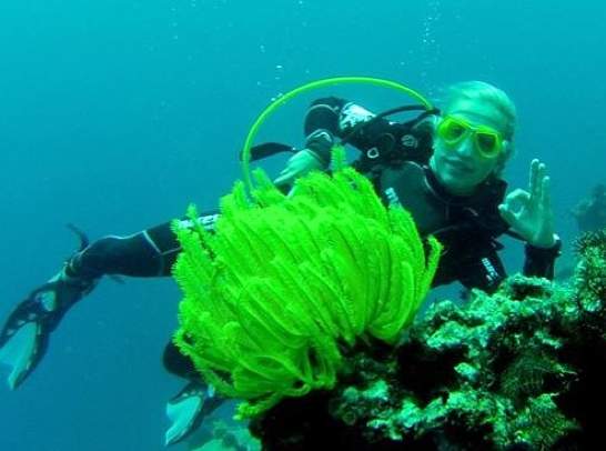 Верена Хайнз