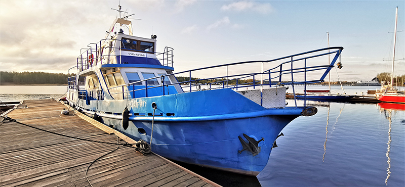 МЭС Грифон МЭС Грифон