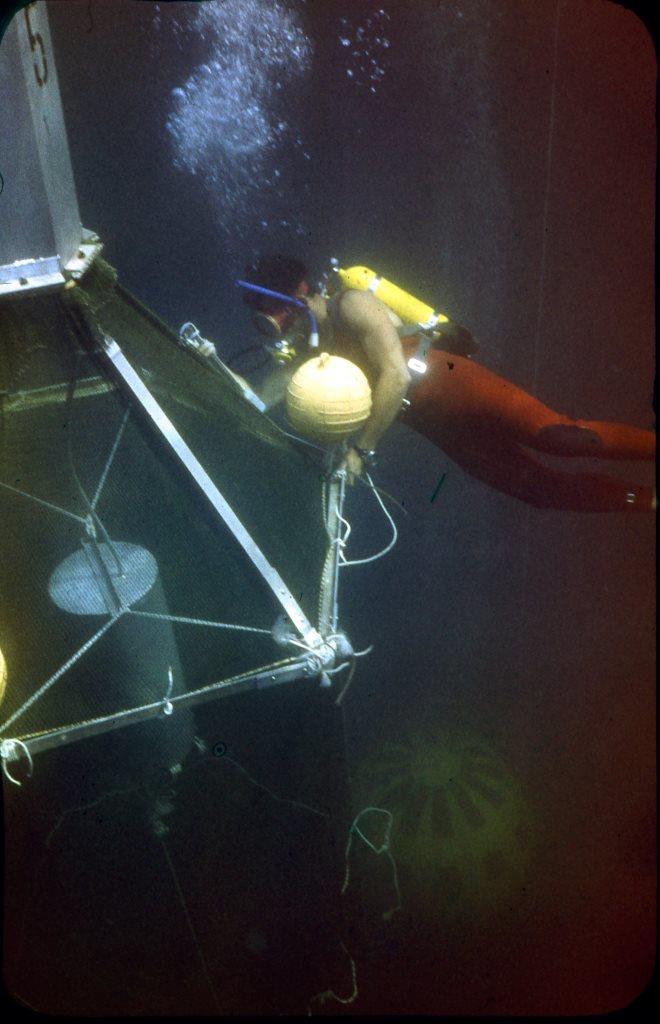 Подводный садок-вольер на Черном море
