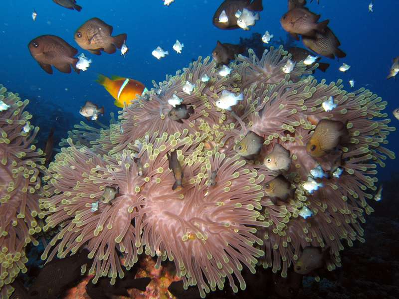 зарисовки из шарма зарисовки из шарма