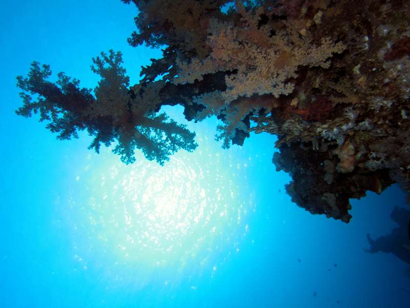 зарисовки из шарма зарисовки из шарма