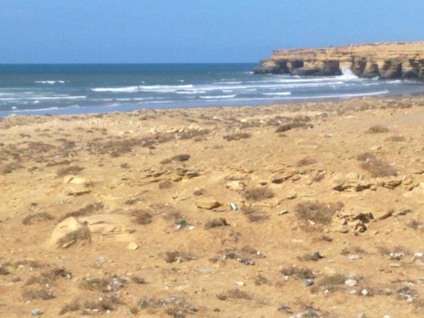 Обрывистый берег Западной Сахары Обрывистый берег Западной Сахары