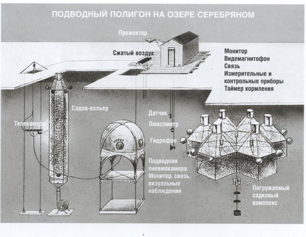 Подводный дом "Спрут" на озерном полигоне Подводный дом "Спрут" на озерном полигоне