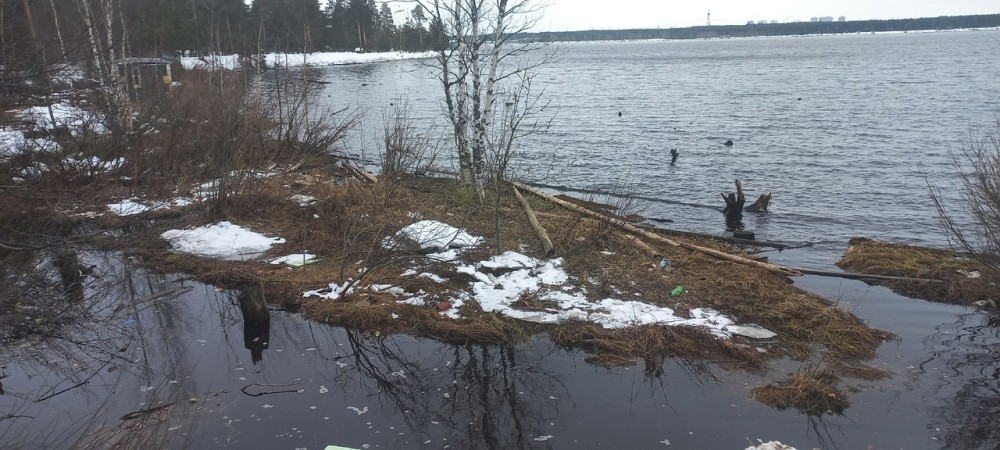 Копылов Виталий Павлович Копылов Виталий Павлович