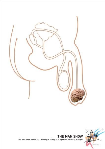 Где находится мозг Где находится мозг