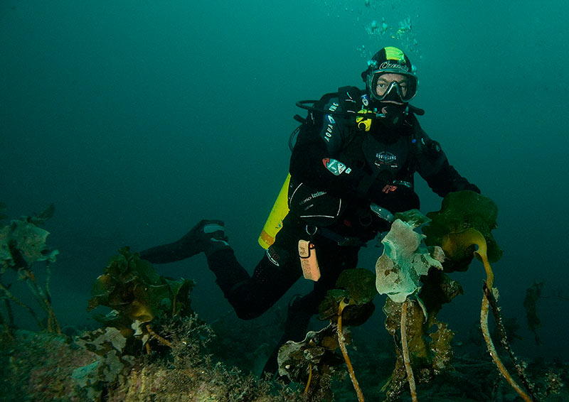 Саша Тигоев