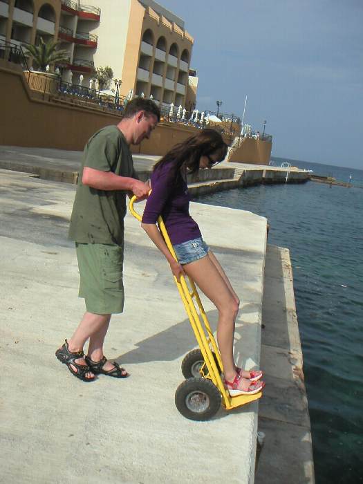 тележка тележка