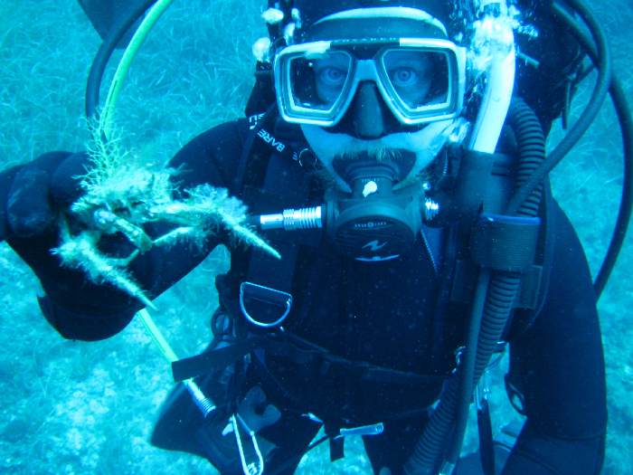 Крабик 2 Крабик 2