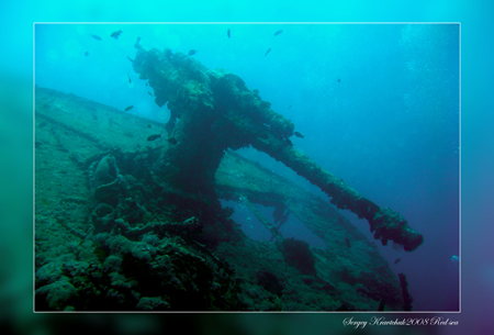 Красное море март 2008