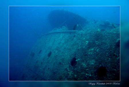 Красное море март 2008