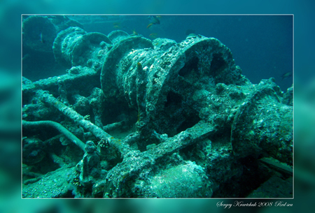 Красное море март 2008