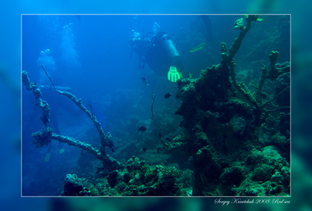 Красное море март 2008