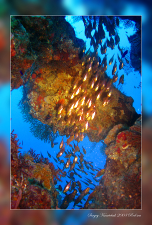 Красное море март 2008