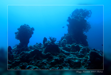 Красное море март 2008 Красное море март 2008