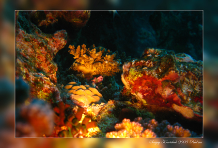 Красное море март 2008