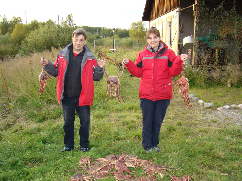 Крабы Крабы