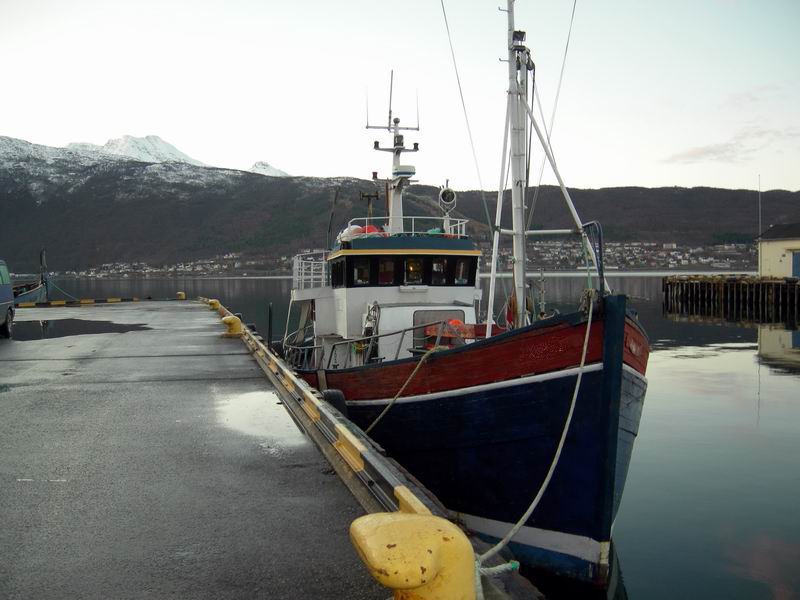 Норвегия. Весна 2009. Планы. Норвегия. Весна 2009. Планы.